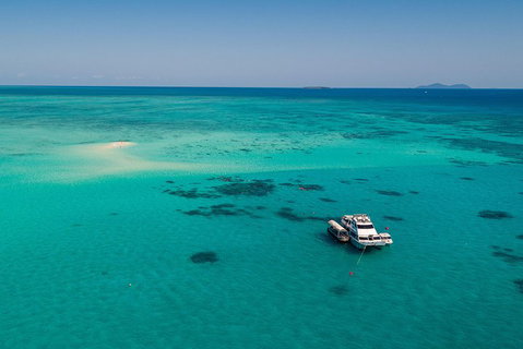 Ocean Freedom Great Barrier Reef Personal Luxury Snorkel & Dive Cruise, Cairns - Accommodation Burleigh 2