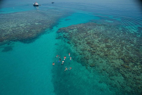 Ocean Freedom Great Barrier Reef Personal Luxury Snorkel & Dive Cruise, Cairns - Accommodation Burleigh 3