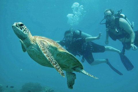 Ocean Freedom Great Barrier Reef Personal Luxury Snorkel & Dive Cruise, Cairns - Accommodation Burleigh 4