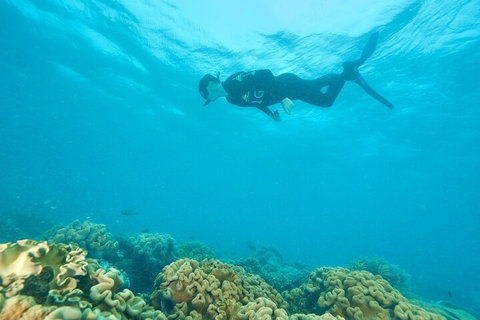 Ocean Freedom Great Barrier Reef Personal Luxury Snorkel & Dive Cruise, Cairns - Accommodation Burleigh 5