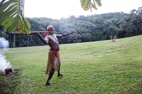 Classic Kuranda By Skyrail And Scenic Railway Including Rainforestation, Koala And Wildlife Park And Pamagirri Aboriginal Experi - Accommodation Burleigh 5