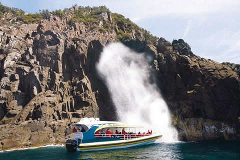 Full-Day Bruny Island Cruises Day Tour From Hobart - Accommodation Burleigh 4
