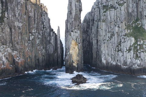 Tasman Island Cruises And Port Arthur Historic Site Day Tour From Hobart - Accommodation Burleigh 2