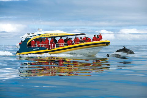 Tasman Island Cruises And Port Arthur Historic Site Day Tour From Hobart - Accommodation Burleigh 3