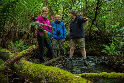 Bruny Island Traveller - Gourmet Tasting And Sightseeing Day Trip From Hobart - Accommodation Burleigh 1