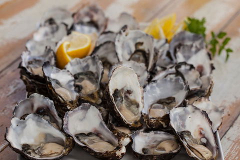 Bruny Island Traveller - Gourmet Tasting And Sightseeing Day Trip From Hobart - Accommodation Burleigh 4