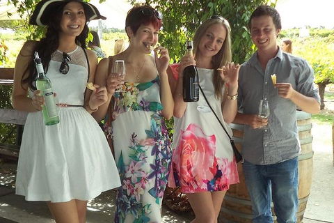 1/2 Day Swan Valley Wine Cheese & Chocolate Tour Inc Afternoon Cruise To Perth - Accommodation Burleigh 4