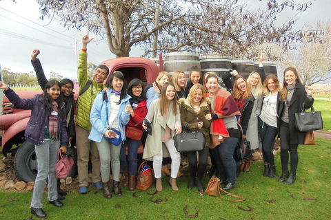 1/2 Day Swan Valley Wine Cheese & Chocolate Tour Inc Afternoon Cruise To Perth - Accommodation Burleigh 5