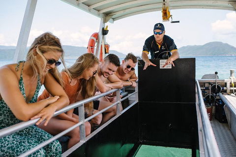Fitzroy Island Day Trip From Cairns - Accommodation Burleigh 4
