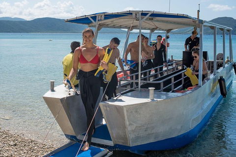 Fitzroy Island Day Trip From Cairns - Accommodation Burleigh 5