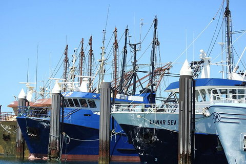 One Day Port Lincoln Tour - Tasting Eyre - Accommodation Burleigh 0