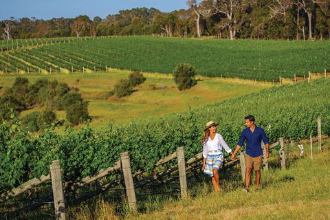 10 Day Perth To Adelaide Private Tour - The Great Australian Wilderness Journey - Accommodation Burleigh 0