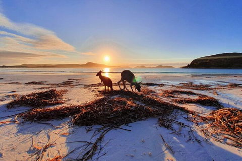 10-Day Perth To Adelaide Adventure Tour - Accommodation Burleigh 1