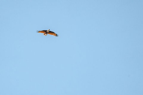 North Stradbroke Island Day Trip From Brisbane - Accommodation Burleigh 4