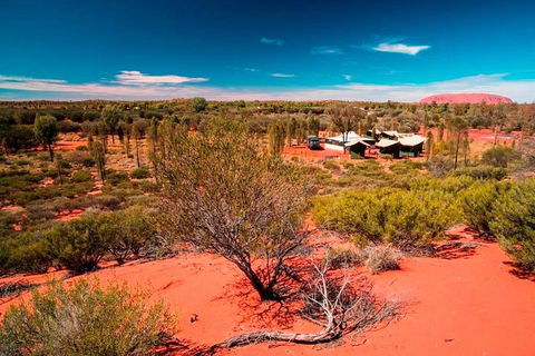 Overnight Uluru (Ayers Rock) Small-Group Camping Tour - Accommodation Burleigh 2