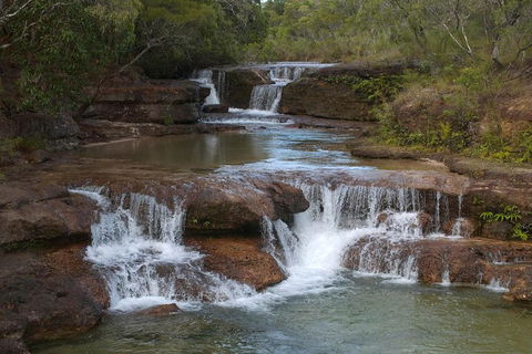 3 Day 4WD Dragonfly Dreaming Top End Safari - Accommodation Burleigh 3