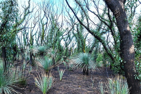 NEW TOUR - Kangaroo Island Road To Recovery Tour (1 Day/1 Night) - Accommodation Burleigh 3