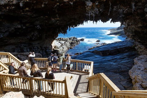 Full Day Flinders Chase Tour From Kangaroo Island - Accommodation Burleigh 1