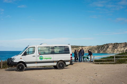 Full Day Flinders Chase Tour From Kangaroo Island - Accommodation Burleigh 3