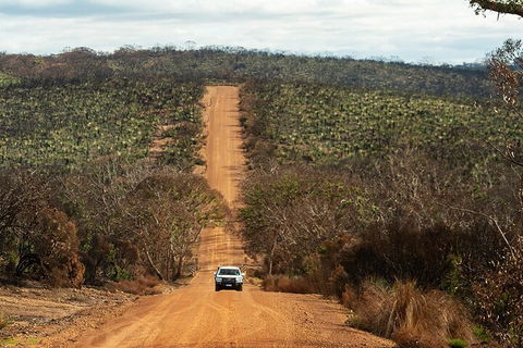 Full Day Flinders Chase Tour From Kangaroo Island - Accommodation Burleigh 4