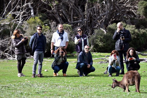 Small-Group Kangaroo Island 4WD Tour From Adelaide - Accommodation Burleigh 2