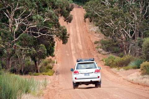 Small-Group Kangaroo Island 4WD Tour From Adelaide - Accommodation Burleigh 3