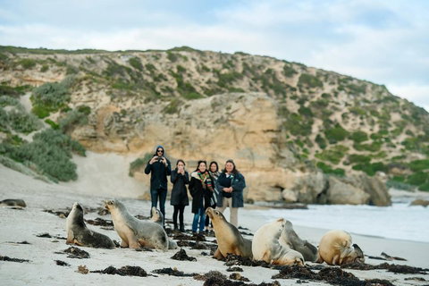 Small-Group Kangaroo Island 4WD Tour From Adelaide - Accommodation Burleigh 4