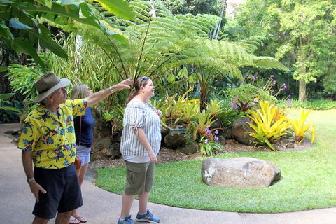 Cairns Shore Excursion: Cairns City Sights & Surrounds Tour - Accommodation Burleigh 4