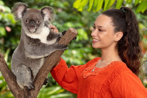 Kuranda Wildlife Experience Three Attraction Pass - Accommodation Burleigh 4