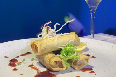 Cairns Aquarium Marine Life Encounter Ticket With 2-Course Lunch - Accommodation Burleigh 1