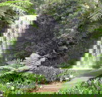 Private Daintree and Cape Tribulation Tour from Port Douglas - Accommodation Burleigh
