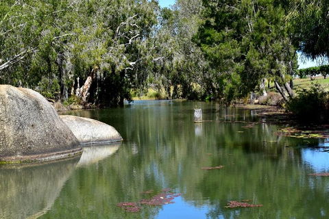 Private Daintree And Cape Tribulation Tour From Port Douglas - Accommodation Burleigh 3