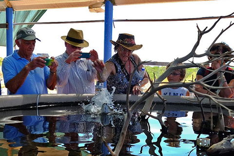 Cape Leveque 4WD Tour From Broome With Optional Return Flight - Accommodation Burleigh 0