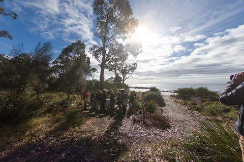 Bruny Island Day Tour, Includes Lunch And Exclusive Lighthouse Tour - Accommodation Burleigh 5