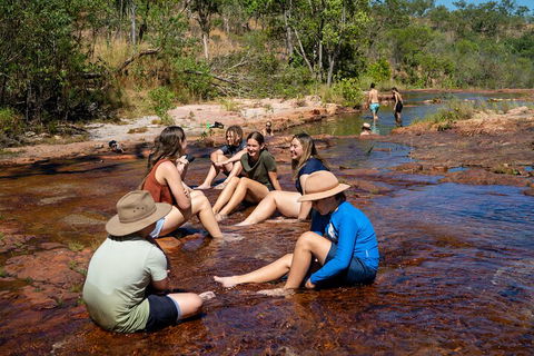 Litchfield National Park Waterfalls And Wildlife Tour From Darwin - Accommodation Burleigh 1