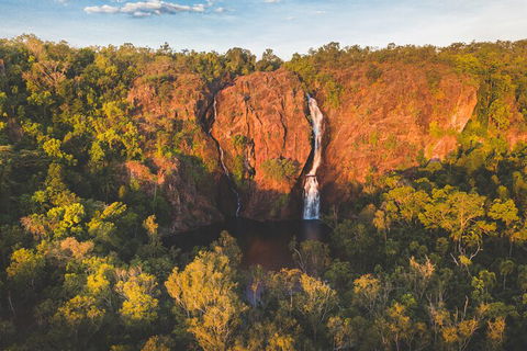 Litchfield National Park Waterfalls And Wildlife Tour From Darwin - Accommodation Burleigh 2