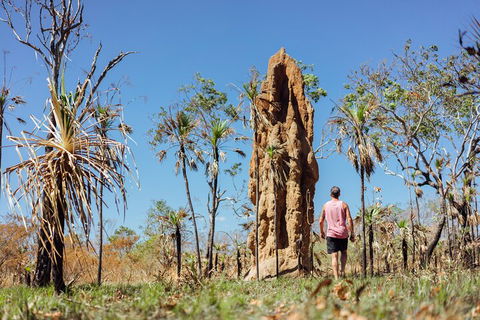 Litchfield National Park Waterfalls And Wildlife Tour From Darwin - Accommodation Burleigh 4