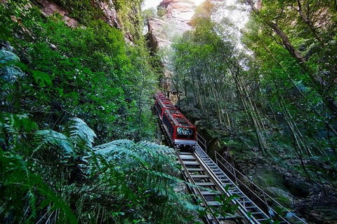 Blue Mountains Private Tour With Kangaroos & Koala Encounter - Accommodation Burleigh 1