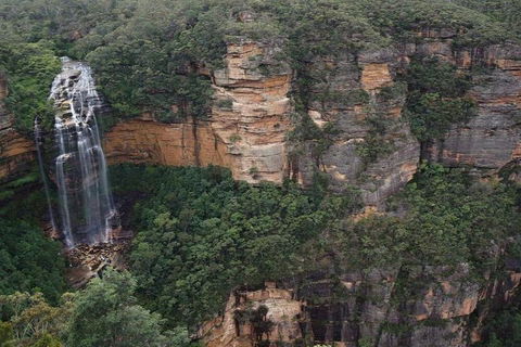Blue Mountains Private Tour With Kangaroos & Koala Encounter - Accommodation Burleigh 2