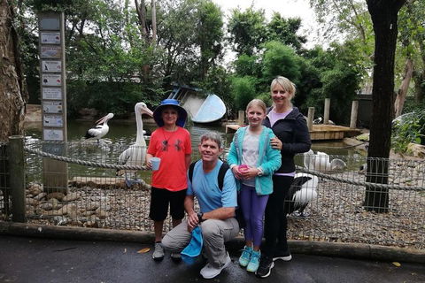 Blue Mountains Private Tour With Kangaroos & Koala Encounter - Accommodation Burleigh 4