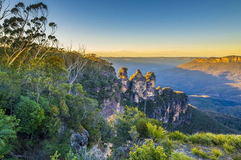 Blue Mountains Private Tour With Kangaroos & Koala Encounter - Accommodation Burleigh 5
