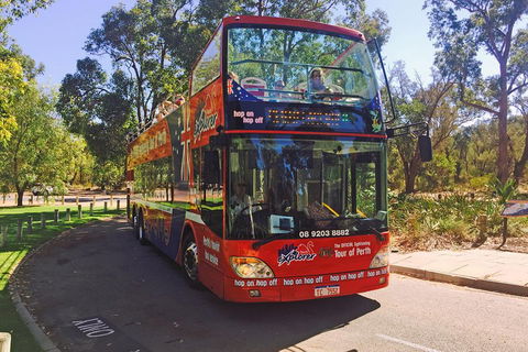 Perth Hop-On Hop-Off Bus Tour - Accommodation Burleigh 4