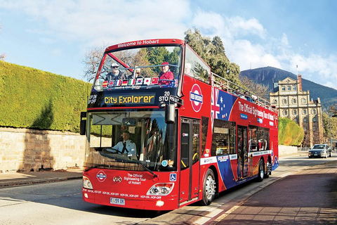 Hobart Hop-On Hop-Off Bus & Kunanyi/Mt Wellington Tour - Accommodation Burleigh 4