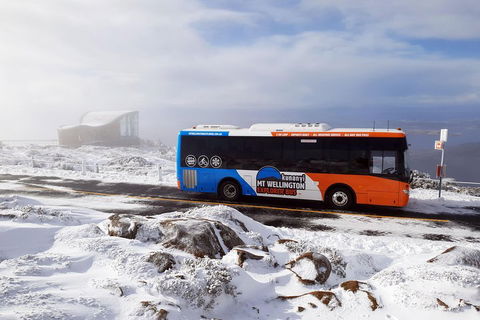 Hobart Hop-On Hop-Off Bus & Kunanyi/Mt Wellington Tour - Accommodation Burleigh 5
