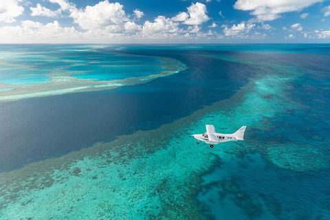 Scenic Flight - Great Barrier Reef, Heart Reef, Whitehaven Beach & Hill Inlet! - Accommodation Burleigh 3