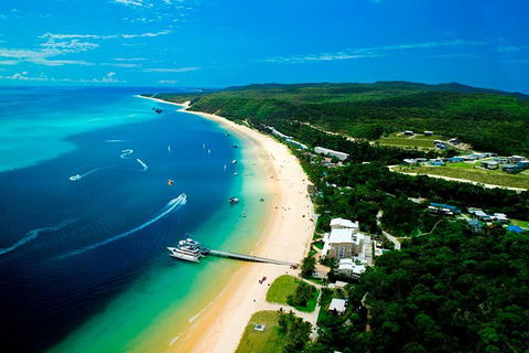 Tangalooma Island Resort Whale Watching Day Cruise - Accommodation Burleigh 2
