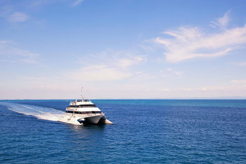 Tangalooma Island Resort Whale Watching Day Cruise - Accommodation Burleigh 5