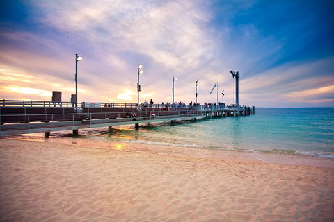 Tangalooma Island Resort Whale Watching Day Cruise With Dolphin Viewing - Accommodation Burleigh 3
