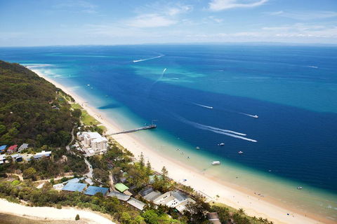 Tangalooma Island Resort Whale Watching Day Cruise With Dolphin Feeding - Accommodation Burleigh 2