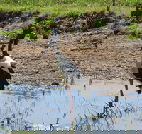 Darwin to Kakadu Day Trip by Air Including Yellow Water Cruise - Accommodation Burleigh
